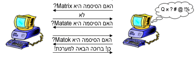 על אבטחת מידע בקצרה – Intrusion